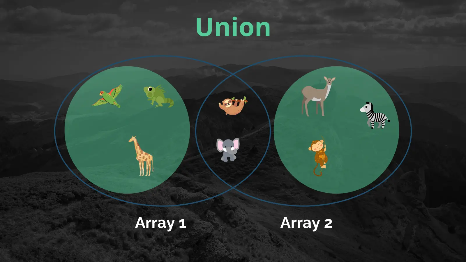 Illustration of array's union